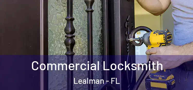  Commercial Locksmith Lealman - FL