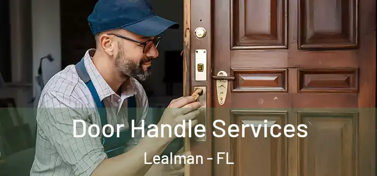  Door Handle Services Lealman - FL