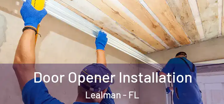  Door Opener Installation Lealman - FL