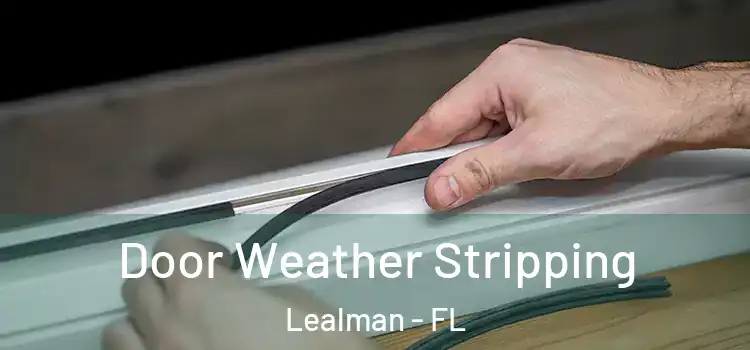  Door Weather Stripping Lealman - FL