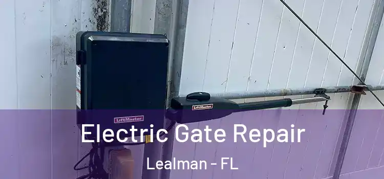  Electric Gate Repair Lealman - FL