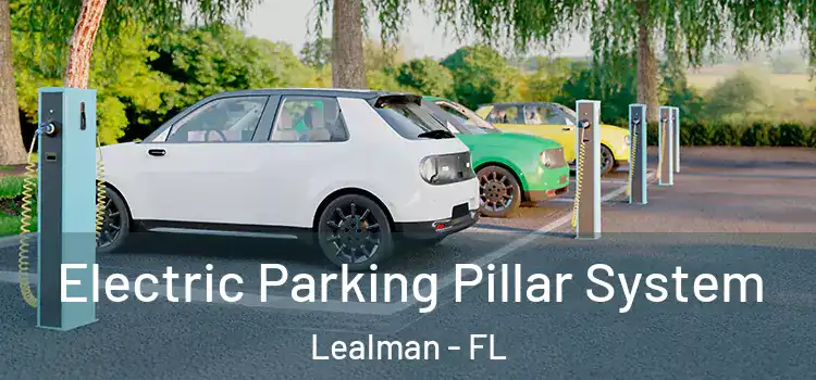  Electric Parking Pillar System Lealman - FL