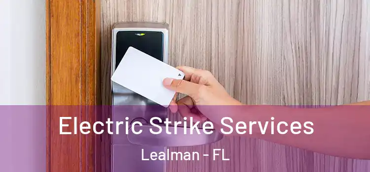  Electric Strike Services Lealman - FL
