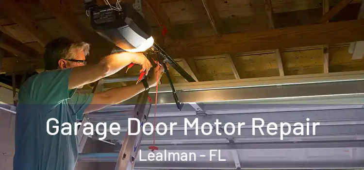  Garage Door Motor Repair Lealman - FL