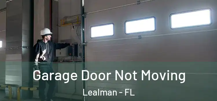  Garage Door Not Moving Lealman - FL