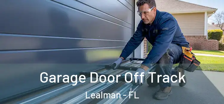  Garage Door Off Track Lealman - FL