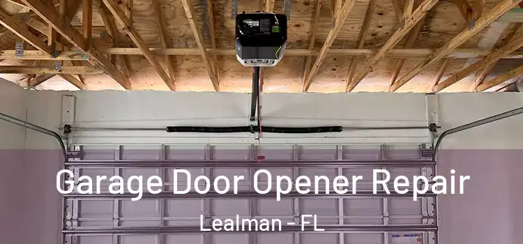  Garage Door Opener Repair Lealman - FL