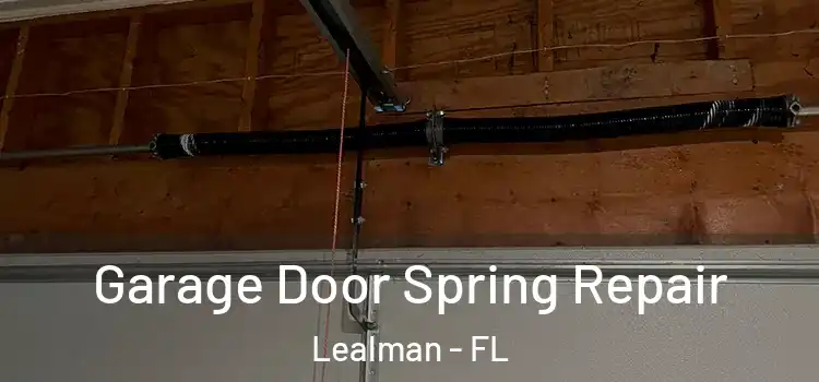  Garage Door Spring Repair Lealman - FL