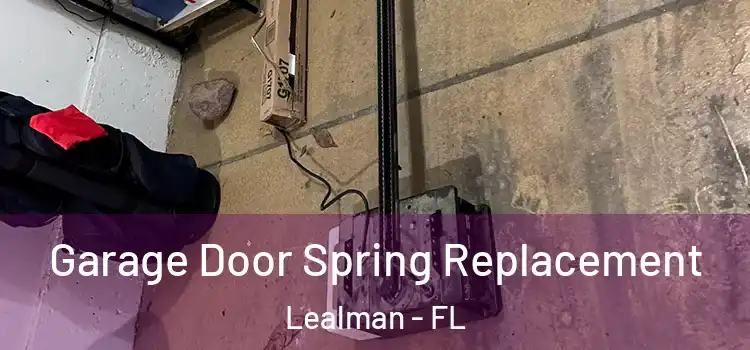  Garage Door Spring Replacement Lealman - FL