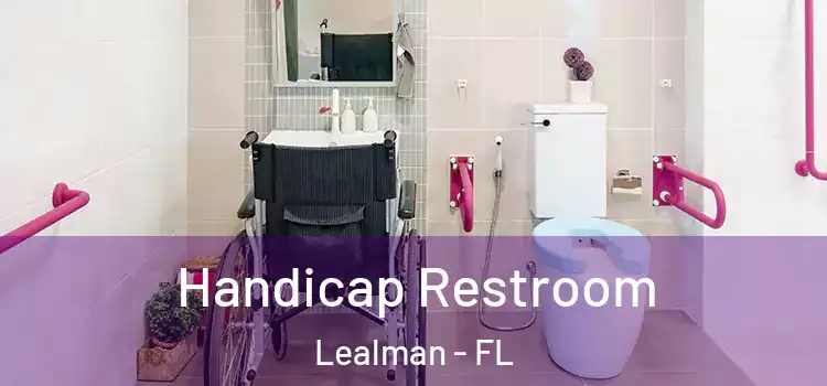  Handicap Restroom Lealman - FL