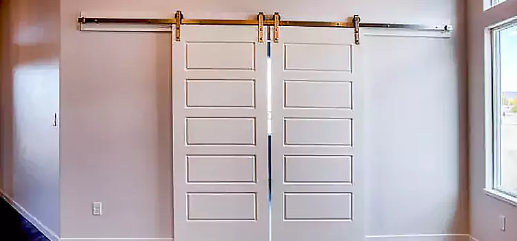 Glass Barn Door with Installation Hardware Kit Lealman