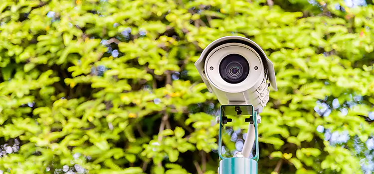 Advanced Surveillance Solutions for Every Need in Lealman