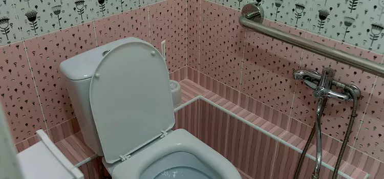 Meeting Diverse Needs With Accessible Restroom Solutions in Lealman, FL