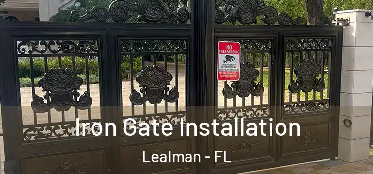  Iron Gate Installation Lealman - FL