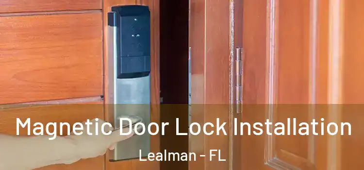  Magnetic Door Lock Installation Lealman - FL