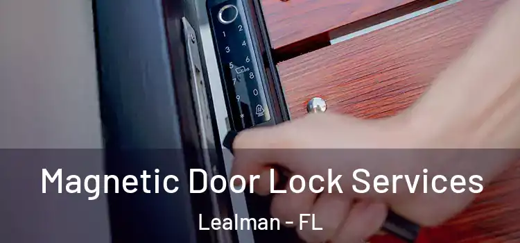  Magnetic Door Lock Services Lealman - FL