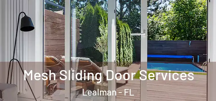  Mesh Sliding Door Services Lealman - FL