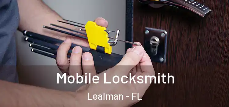  Mobile Locksmith Lealman - FL