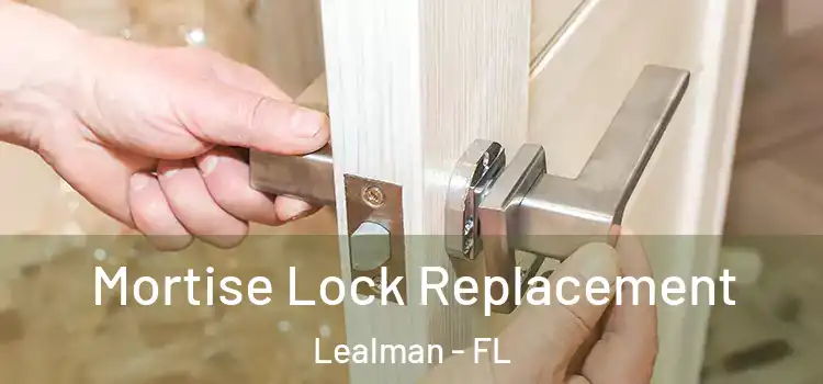  Mortise Lock Replacement Lealman - FL
