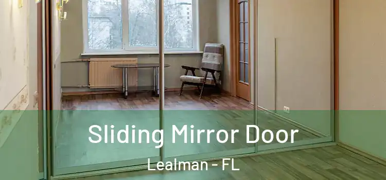  Sliding Mirror Door Lealman - FL